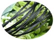 画像1: 2mmサテンリボン／5.Black　3ｍ巻　10ｍ巻 (1)