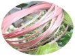 画像1: 2mmサテンリボン／8.Powder Pink　3ｍ巻　10ｍ巻 (1)