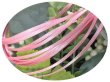 画像1: 2mmサテンリボン／9.Pink　3ｍ巻　10ｍ巻 (1)