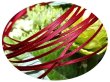 画像1: 2mmサテンリボン／21.Scarlet　3m巻　10m巻 (1)