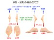 画像15: 六分の一男子図鑑 執事スタイル ナイン  送料無料 (15)