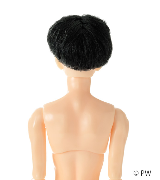 六分の一男子図鑑 B2405 エイト | 六分の一男子図鑑 | PetWORKs